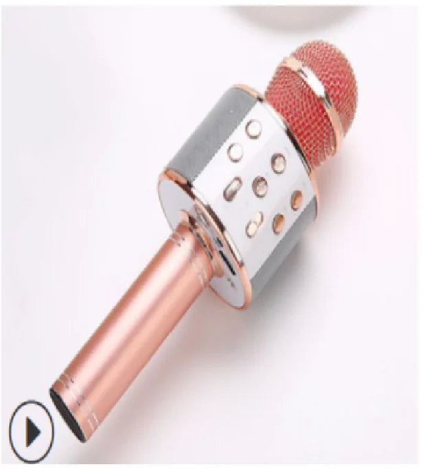 Artist's Microphone and Music Box