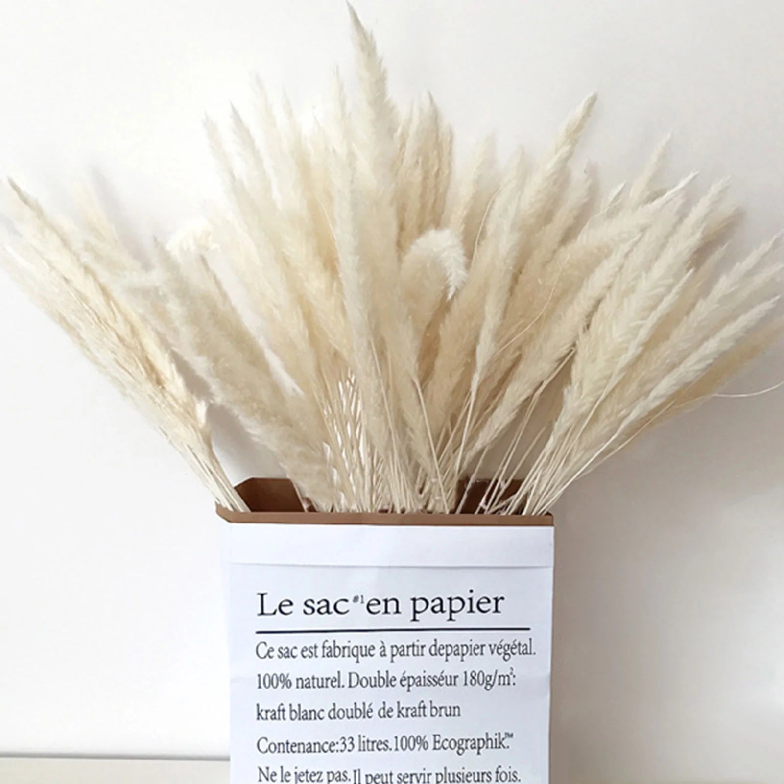 15 Natural Dried Pampas Grass Phragmites for Home and Wedding Decor