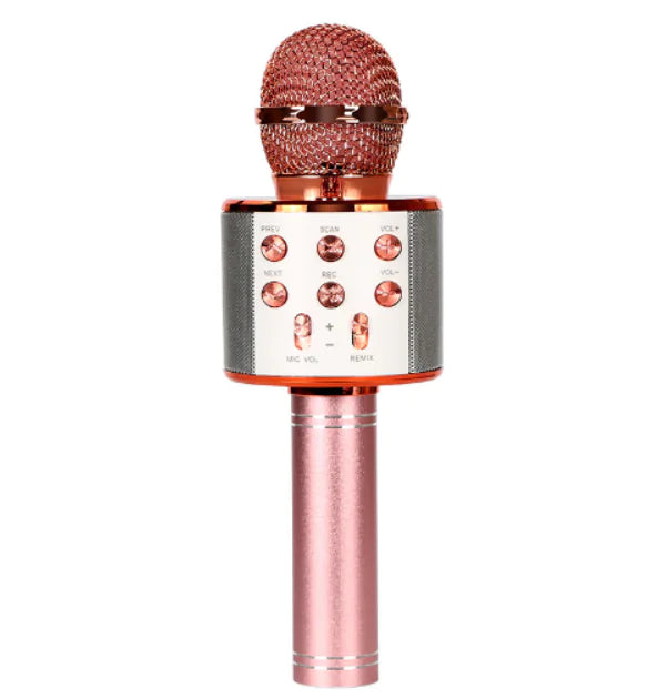 Artist's Microphone and Music Box